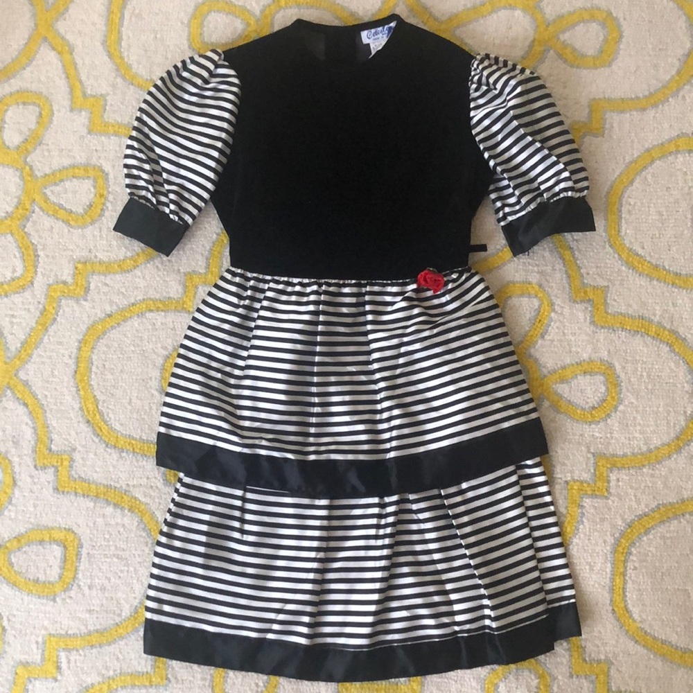 🌹Celeste Dress🌹 Sz 10